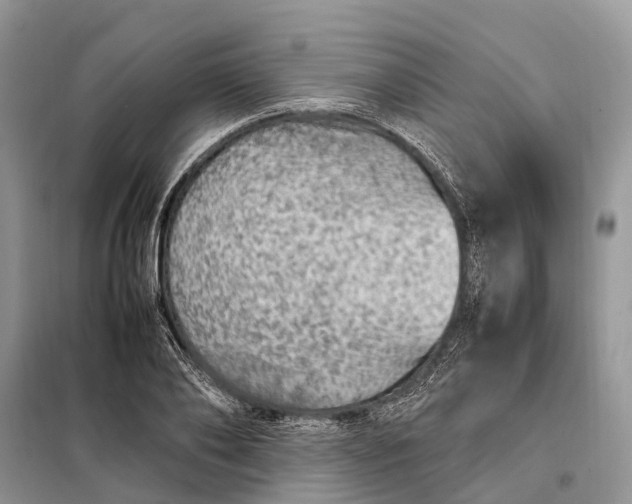 X0000098220886200805081155