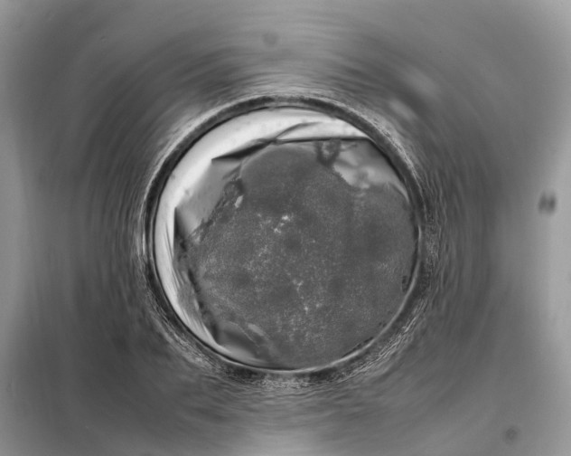 X0000098220887200805081155