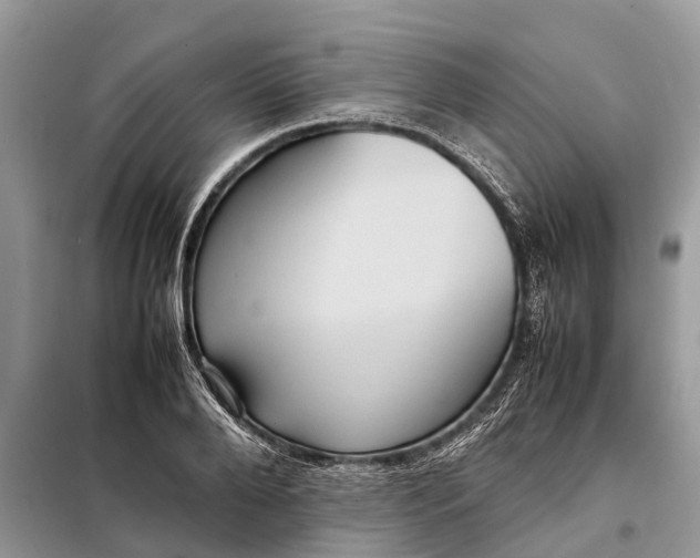 X0000098220888200805081155