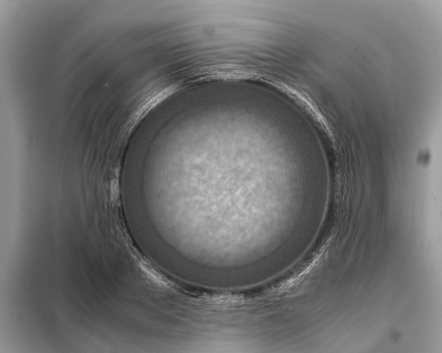 X0000098220889200805081155