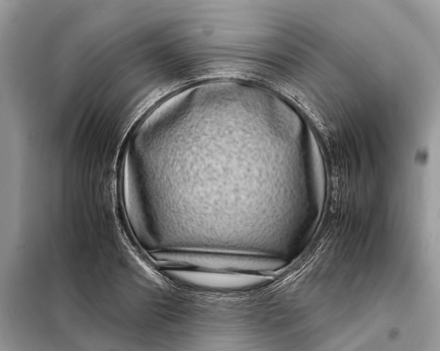 X0000098220890200805081155