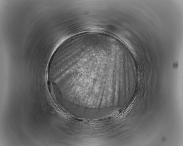 X0000098220891200805081155