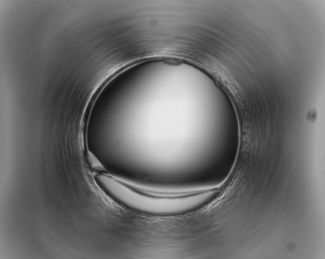 X0000098220892200805081155