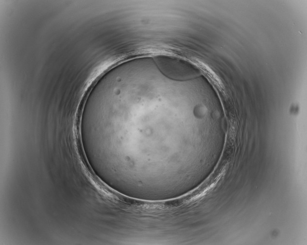 X0000098220893200805081155