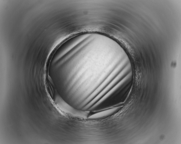 X0000098220894200805081155