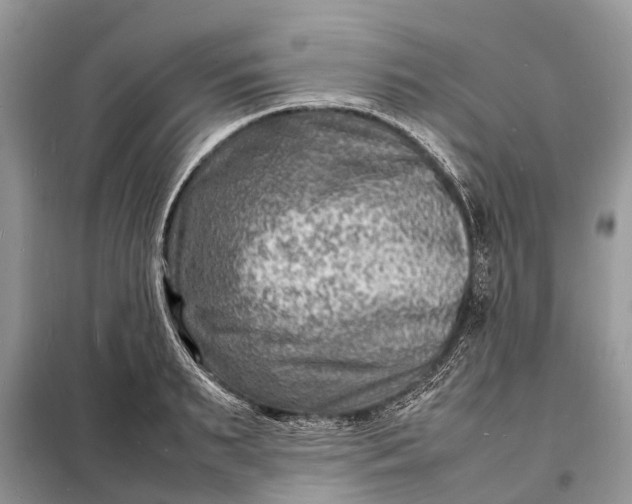 X0000098220895200805081155