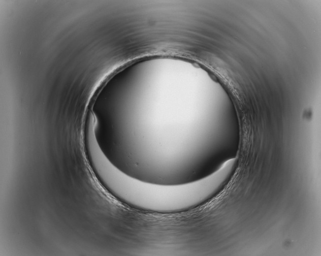 X0000098220896200805081155