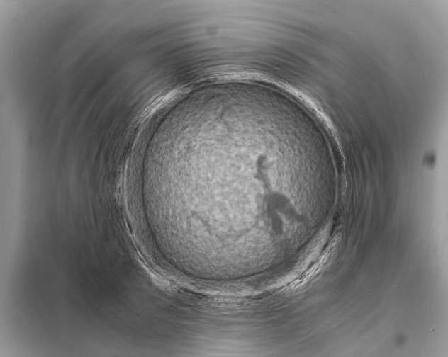 X0000098220897200805081155