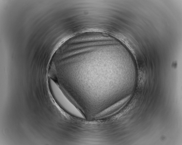 X0000098220898200805081155