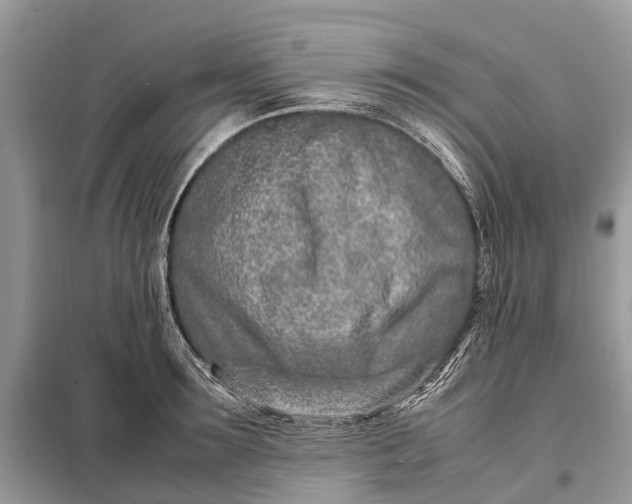 X0000098220899200805081155