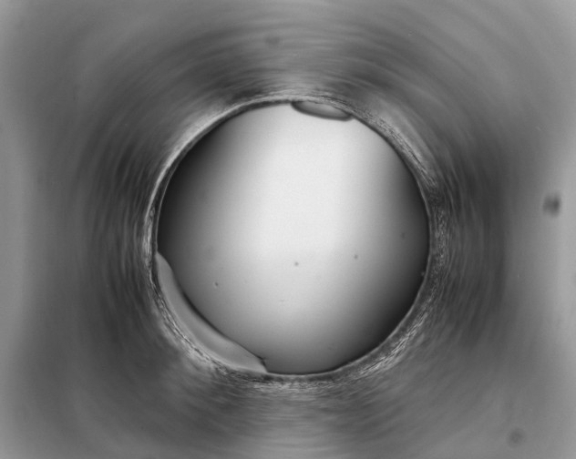 X0000098220900200805081155