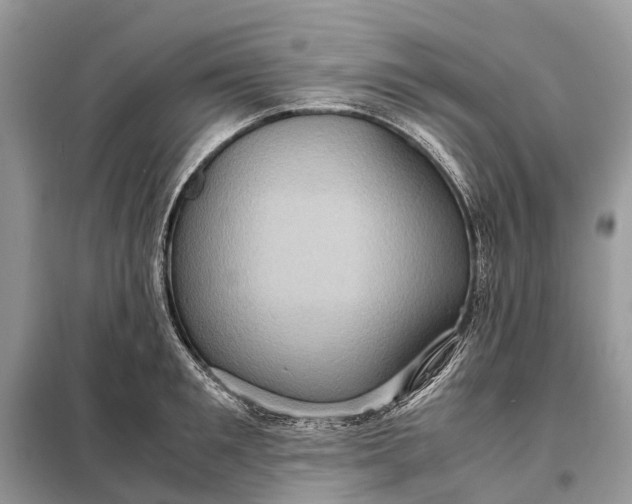 X0000098220901200805081155