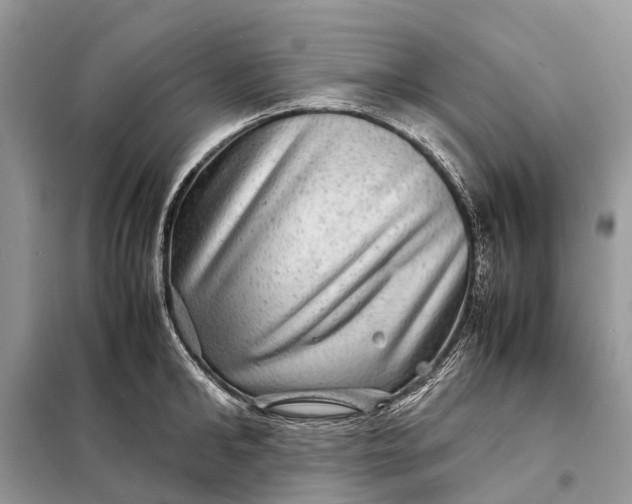 X0000098220902200805081155