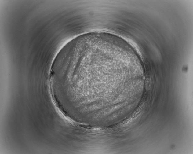 X0000098220903200805081155