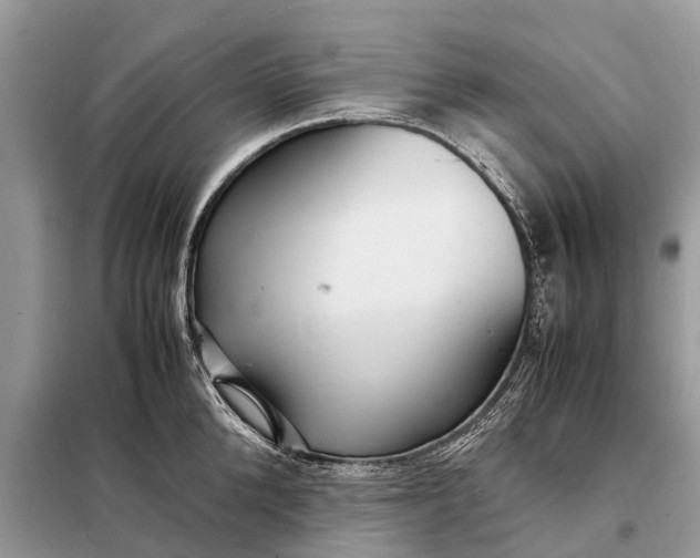 X0000098220904200805081155