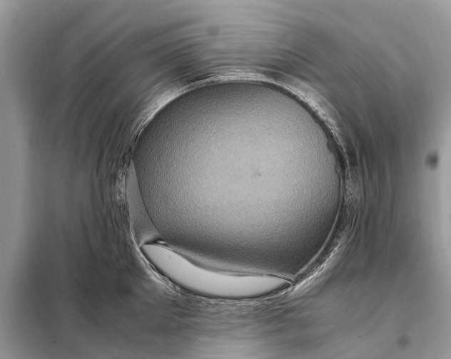 X0000098220905200805081155