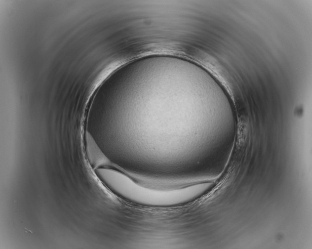 X0000098220906200805081155