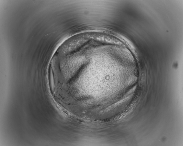 X0000098220907200805081155