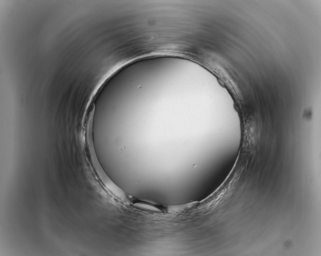 X0000098220908200805081155