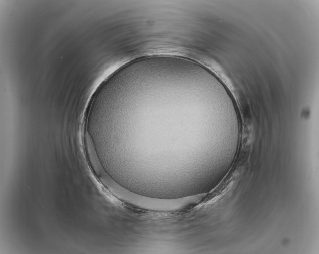 X0000098220909200805081155