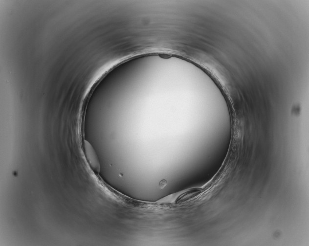 X0000098220910200805081155