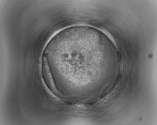 X0000098220911200805081155