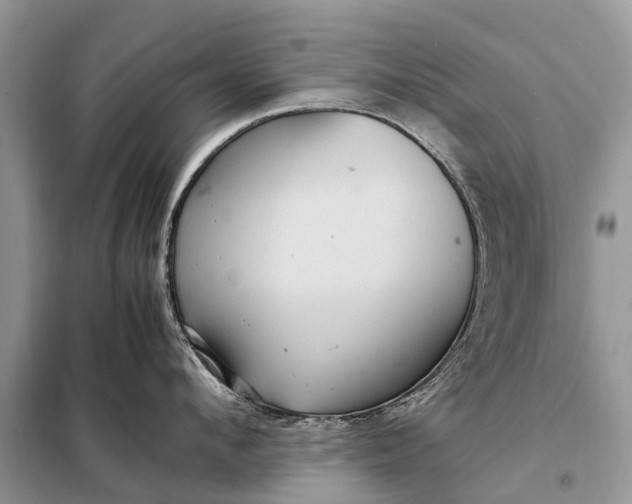 X0000098220912200805081155