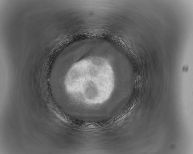 X0000098220913200805081154