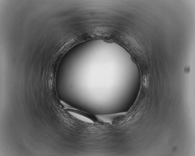 X0000098220915200805081154