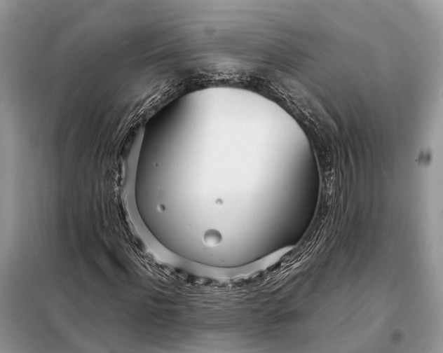 X0000098220916200805081154