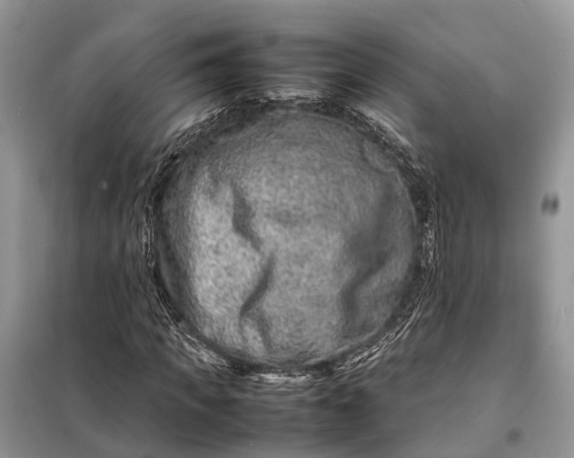 X0000098220917200805081154