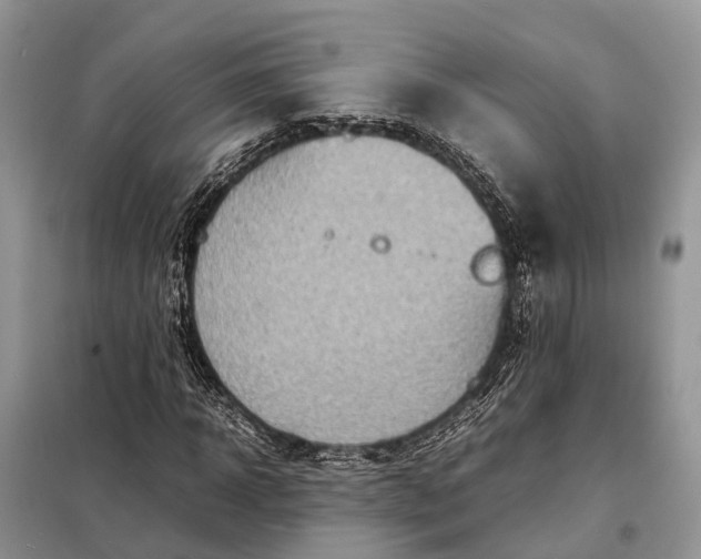 X0000098220918200805081154