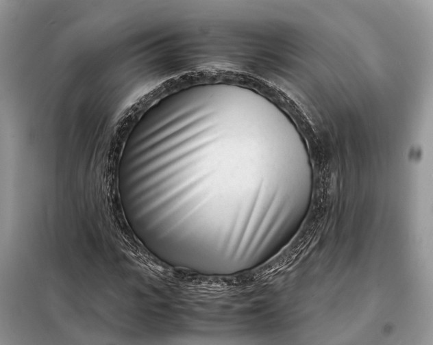 X0000098220919200805081154