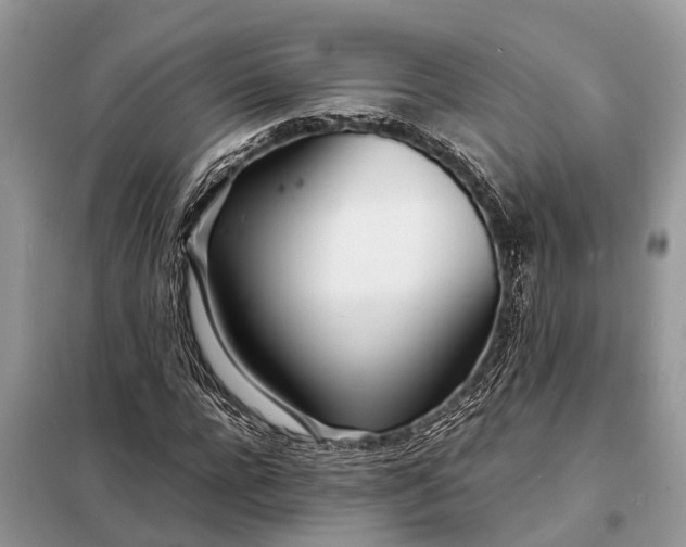 X0000098220920200805081154