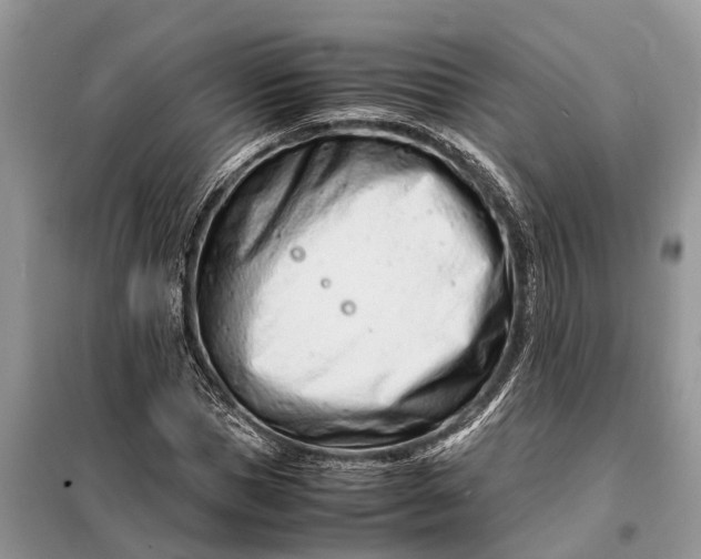 X0000098220921200805081154