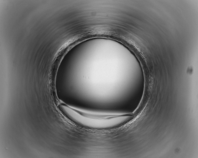 X0000098220922200805081154