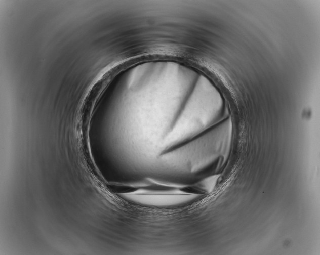 X0000098220923200805081154