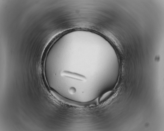 X0000098220924200805081154