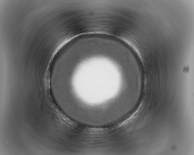 X0000098220925200805081154