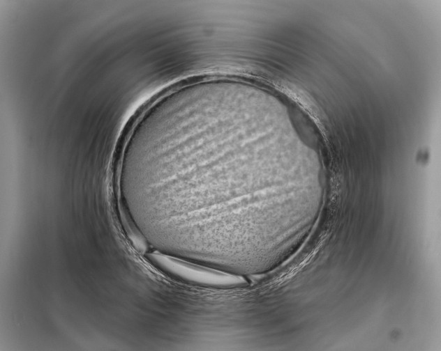 X0000098220928200805081155