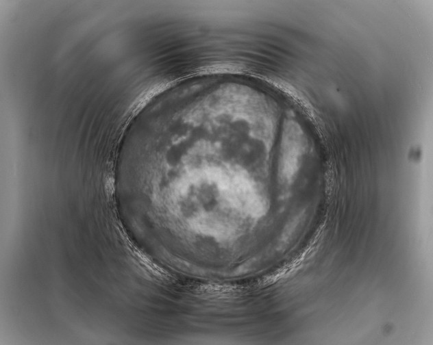 X0000098220929200805081155