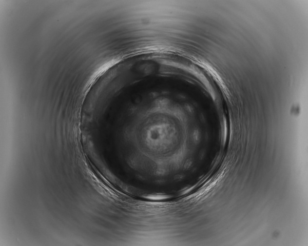 X0000098220930200805081155