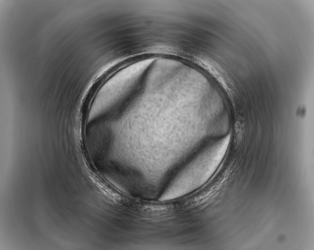 X0000098220931200805081155