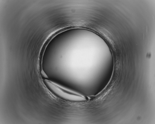 X0000098220932200805081155