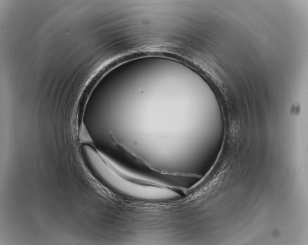 X0000098220934200805081155