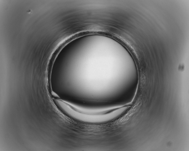 X0000098220935200805081155