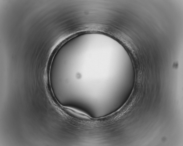 X0000098220936200805081155