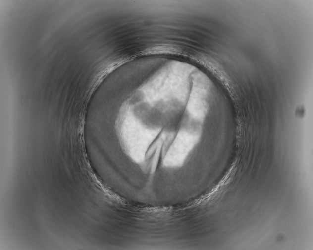 X0000098220937200805081155