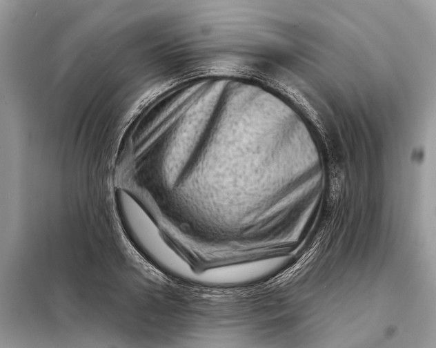 X0000098220938200805081155