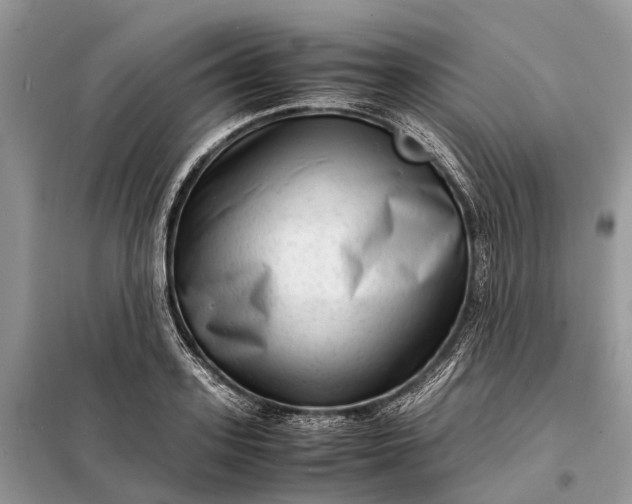 X0000098220939200805081155